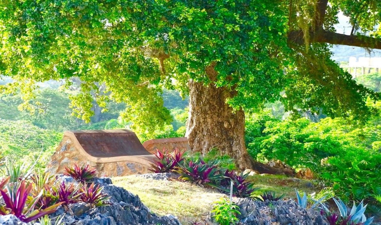 Las Galeras Village Ecolodge Bagian luar foto